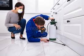 Real Estate Pest Inspections in Sanger, TX